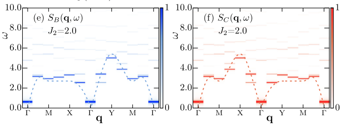 Calculated dynamical spin structure factors for two sublattices of the modified Lieb lattice