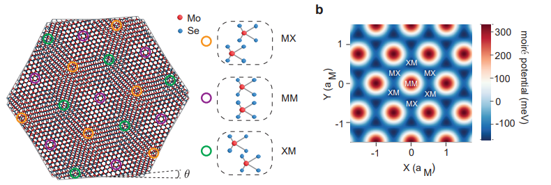 Twisted MoSe2 bilayer structure with high-symmetry stacking regions and the resulting moiré potential